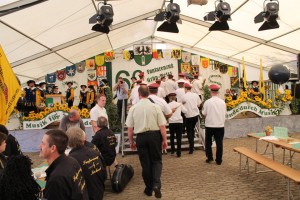 Fest 2014 online (346)