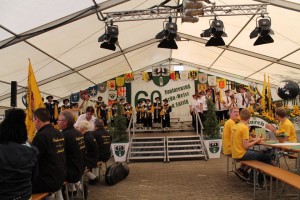 Fest 2014 online (347)