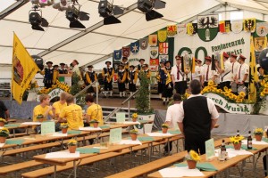 Fest 2014 online (352)