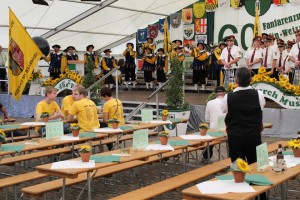 Fest 2014 online (354)