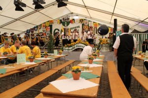 Fest 2014 online (355)