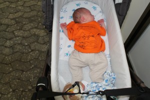 Fest 2014 online (376)