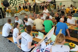 Fest 2014 online (382)