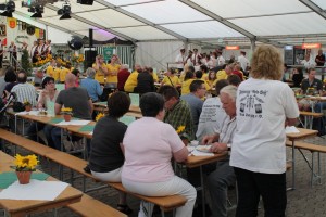 Fest 2014 online (388)