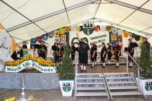 Fest 2014 online (391)