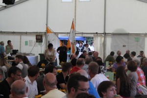 Fest 2014 online (392)