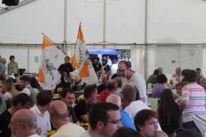 Fest 2014 online (393)