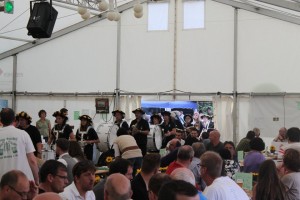 Fest 2014 online (395)