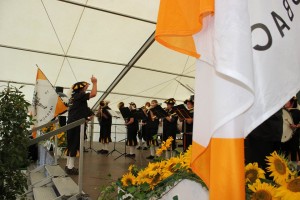 Fest 2014 online (396)