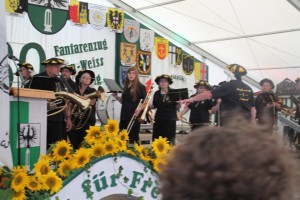 Fest 2014 online (400)