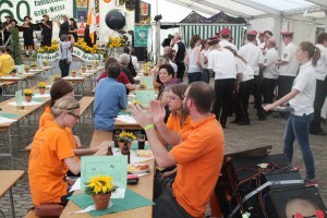 Fest 2014 online (409)