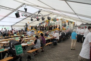 Fest 2014 online (423)