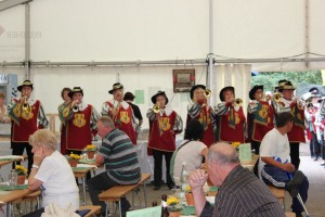 Fest 2014 online (426)