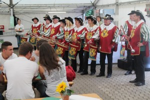 Fest 2014 online (430)