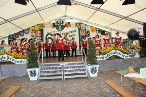 Fest 2014 online (431)