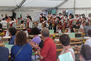 Fest 2014 online (432)