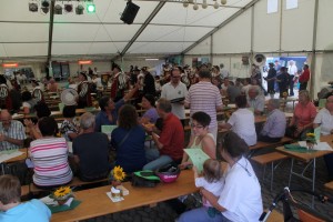 Fest 2014 online (433)