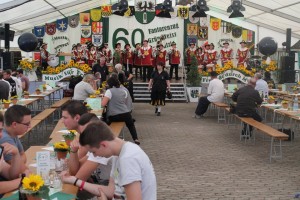 Fest 2014 online (439)