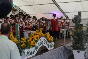 Fest 2014 online (442)