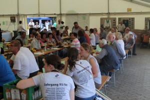 Fest 2014 online (443)