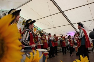 Fest 2014 online (447)