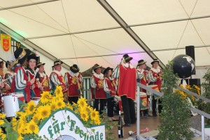 Fest 2014 online (449)