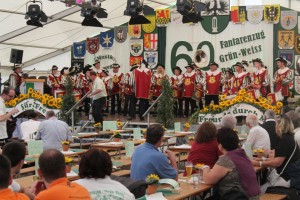 Fest 2014 online (450)