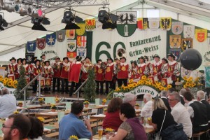 Fest 2014 online (451)