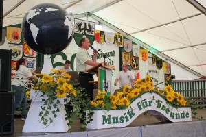 Fest 2014 online (456)