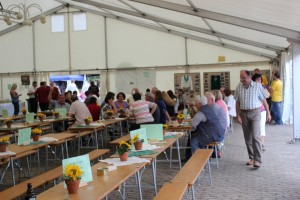 Fest 2014 online (464)