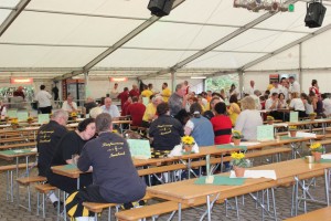 Fest 2014 online (465)