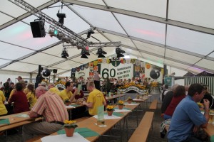 Fest 2014 online (469)