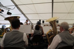 Fest 2014 online (473)