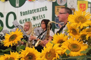 Fest 2014 online (475)