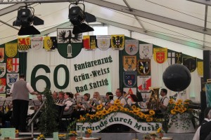 Fest 2014 online (476)