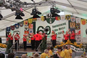 Fest 2014 online (501)