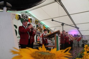 Fest 2014 online (522)