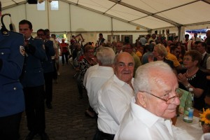 Fest 2014 online (664)