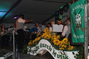 Fest 2014 online (684)