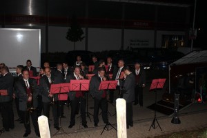 Fest 2014 online (709)