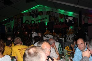 Fest 2014 online (725)