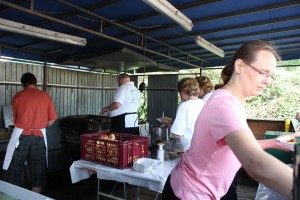 Fest 2014 online (855)