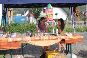 Fest 2014 online (866)