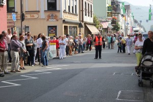 Fest 2014 online (876)