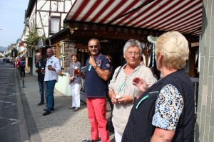 Fest 2014 online (928)