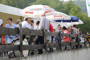 Fest 2014 online (939)