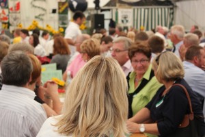 Fest 2014 online (950)