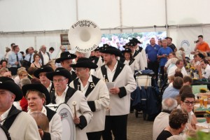 Fest 2014 online (955)