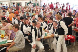 Fest 2014 online (956)