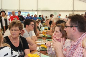 Fest 2014 online (957)